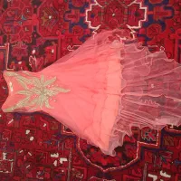 لباس|لباس|عجب شیر, |دیوار