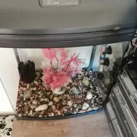 آکواریوم شرکتیJEBO|ماهی|تبریز, |دیوار