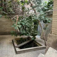 فروش خانه مسکونی|فروش زمین و ملک کلنگی|تهران, جوادیه|دیوار