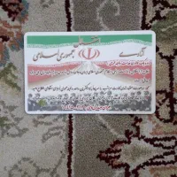 مدارک گمشده