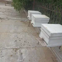 کندوی عسل|حیوانات مزرعه|رامجین, |دیوار