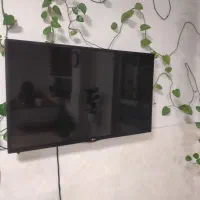 ال ای دی الجی