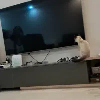 میز تی وی طول ۱۸۰