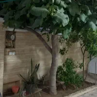 منزل فروشی در آرامگاه سعدی|فروش خانه و ویلا|شیراز, پارک کوهستانی بوستان|دیوار