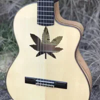 اموزش گیتار