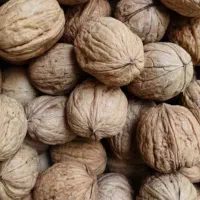 گردو درجه یک