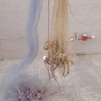 سلیه ماهیگیری