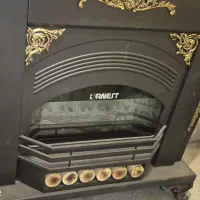 بخاری ارنست