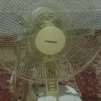 پنکه زمینی سانی