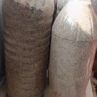 بذر فروشی تازه