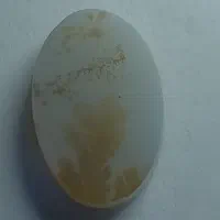 سنگ شجر قائنات