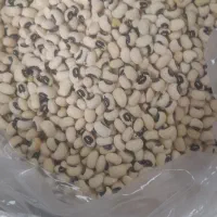 حبوبات درجه یک لرستان|خوردنی و آشامیدنی|تهران, تاکسیرانی|دیوار