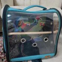 کوله حمل پرنده سالم