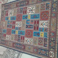 فرش ۴ متری|فرش|مشهد, رستگار|دیوار