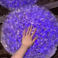 بوکت پروانه