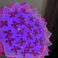 گل پروانه ای