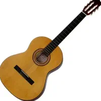 گیتار پارسی 6 سیم