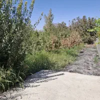 فروش باغچه ۸۶۰ متری|فروش دفتر صنعتی، کشاورزی، تجاری|باغستان, |دیوار