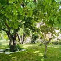 باغبان و سرایدار