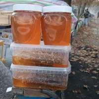 عسل طبیعی|خوردنی و آشامیدنی|تهران, زنجان جنوبی|دیوار