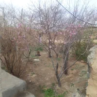 سرمایه گذاری زمین کشاورزی با چاه آب ده هکتاری