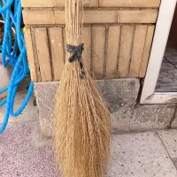 تعدادی جارو بلند