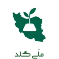 دریافت ۲۵ سوت هدیه طلا رایگان