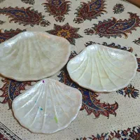 سرویس پیش دستی سه تکه صدفی|ظروف سرو و پذیرایی|شیراز, گلدشت معالی‌آباد|دیوار
