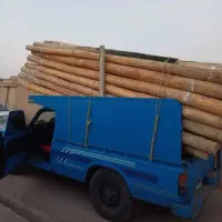 خرید چوب خشک چنار سقفی اتاقی تیرچوب وضایعات