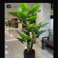درختچه بزرگ