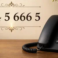 444 5 666 5|تلفن رومیزی|تهران, جنتآباد مرکزی|دیوار