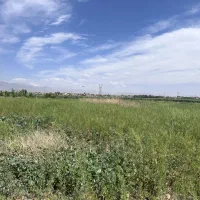 زمین-1500-متری-در-قوچ-حصار-نظراباد-معاوضه-یا-تهاتر