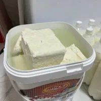 دوغ محلی،کره محلی،پنیرمحلی،ماست چکیده،ماست|خوردنی و آشامیدنی|بندر ترکمن, |دیوار