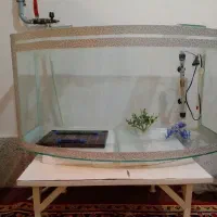 آکواریوم ۸۰در۲۷سانت با تجهیزات اگر خواستید