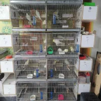 جوفت مولد تضمینی درجه یک|پرنده|بوکان, |دیوار