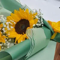 ایده ایی جذاب برای روز مادر|گل و گیاه طبیعی|بندرعباس, |دیوار