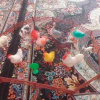 سلام اسباب بازی ها نوهستن