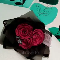 گل ربانی ولنتاین