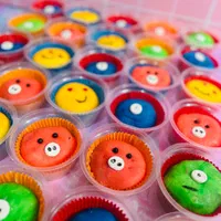 اولین اموزش موچی در کرمان|خدمات آموزشی|کرمان, |دیوار