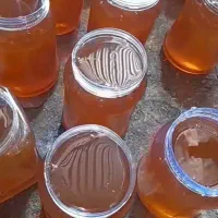 عسل درجه یک با ساکارز زیر ۷درصد