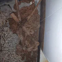 زنجیر 6و 9متری امریکایی دوسر قلاب