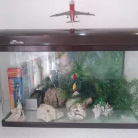 اکواریوم شیشه خم شرکتی