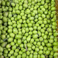 فروش زیتون سبز . سرندشده/ شکسته و ماری|خوردنی و آشامیدنی|رشت, توشیبا|دیوار
