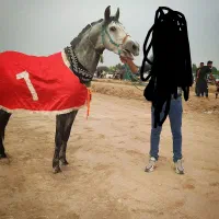 نریون یادگار آهو