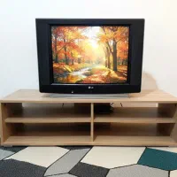 تلویزیون ۲۹ اینچ الجی کاملا سالم همراه با کنترول