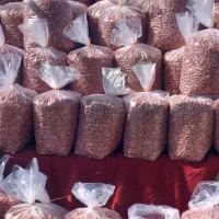 بادام زمینی تازه ۳۴۰