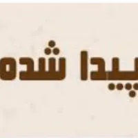 یک فلش پیدا شده