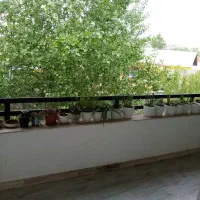 یک واحد ۱۱۰ متری اجاره|اجارهٔ آپارتمان|رشت, شکار اسطلخ|دیوار