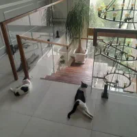 نیروی خدماتی خانوم