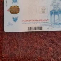 شناسنامه گم شده